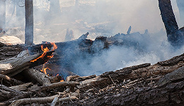 云南大理森林火灾尚未完全扑灭，暂未造成人员伤亡