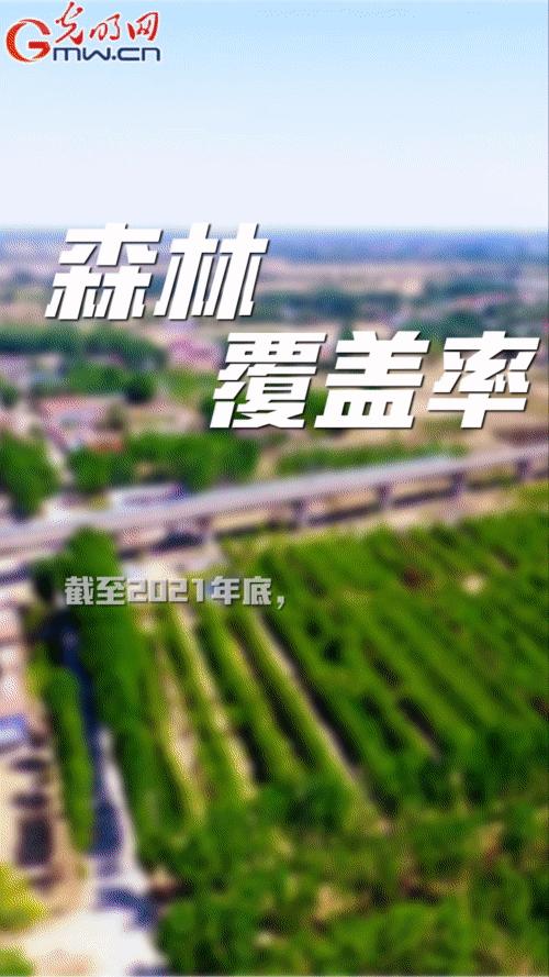 【“动”漫海报】雄安新区:五年奋进加速蝶变 未来之城欣欣向荣