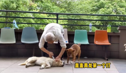 82岁老人和他“最孤独的动物园”