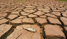 國家氣候中心：10月份降水仍偏少，湖南江西等地旱情短時(shí)間無明顯緩解趨勢