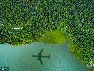 減排的幻影：航空公司碳抵消之路