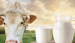 “奶牛品种”概念，能否撕开传统白奶市场的防线？