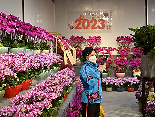 广州花市终于回归，年宵花涨价但还是卖爆了