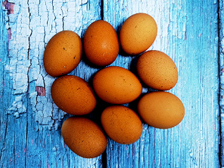 美国蛋价持续上涨，缺蛋危机下“一元店”停售鸡蛋