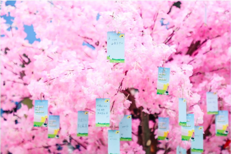 1679488612321718.jpg 1679488626(1).jpg