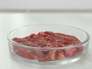 4個月內融資2次，這家細胞肉公司持續降低成本