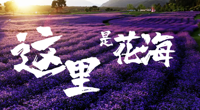 WX20230425-172513@2x.png