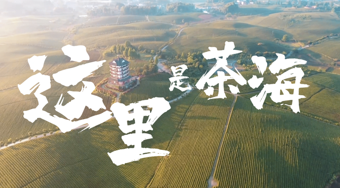 WX20230427-211746@2x.png