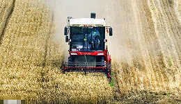 全国麦收进度过两成，“烂场雨”致收割比常年推迟3天左右
