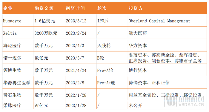 管家婆马报图今晚