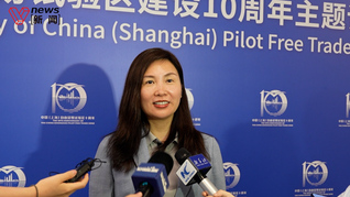 特斯拉全球副總裁陶琳：上海超級工廠保持速度標桿，與自貿區制度優勢密不可分
