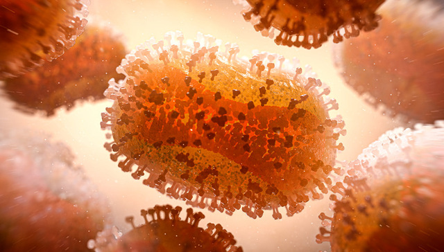 9月新增猴痘病例明显下降，本土传播或得到控制