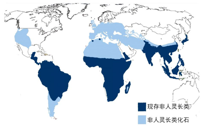 管家婆马报图今晚