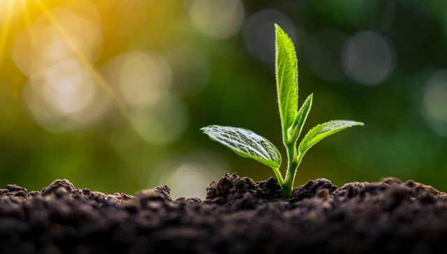 法治面 | 如何提高农民种地积极性？农村撂荒地治理将有法可依