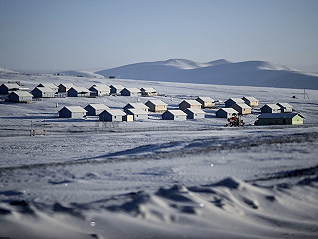 【觀察】蒙古國遭遇50年不遇雪災，“白色極寒”再次敲響警鐘
