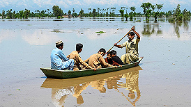 逃離家園，支起帳篷：巴基斯坦暴雨已致近百人死亡