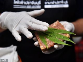 泰国拟重新管制大麻，但从业者不答应