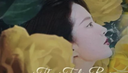 《玫瑰的故事》刷屏，“神仙姐姐”谈恋爱救了新丽传媒？