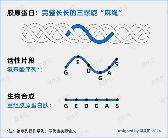 管家婆马报图今晚