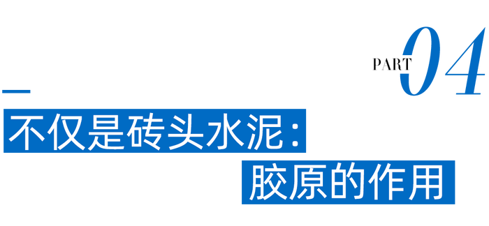 管家婆马报图今晚