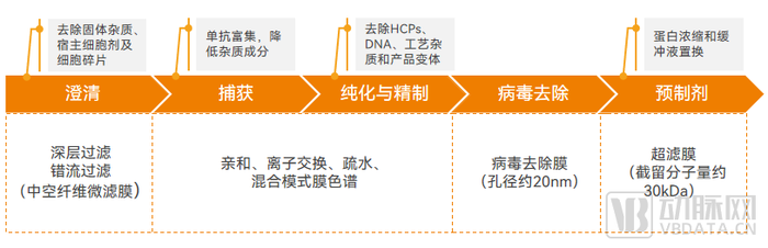 管家婆马报图今晚