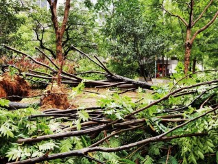 地方新闻精选 | 台风“格美”已致福建62.86万人受灾  吉林一公安局长和辅警救灾失联