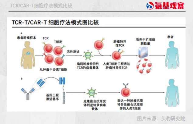 管家婆马报图今晚