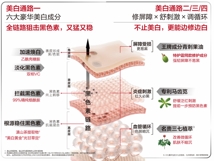 https://img2.jiemian.com/101/original/20240821/import_1724205305696320170012_a700xH.png