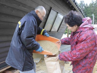 日本鬧米荒，游客暴增、極端天氣可能都不是根本原因