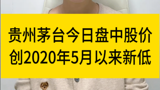 “金九銀十”白酒銷售不及預(yù)期，茅臺(tái)股價(jià)盤中創(chuàng)2020年5月以來(lái)新低