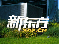 教育新業(yè)務(wù)帶動新東方營收增三成，但股價卻跌逾8%