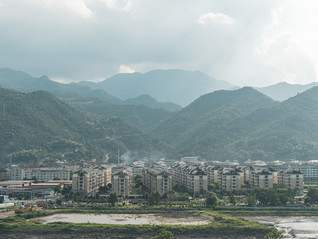 县域人才政策观察②|县域城市“筑巢引凤”有何妙招？