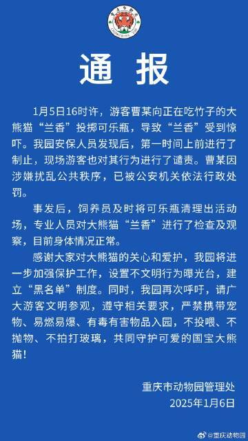 重庆动物园通报：向大熊猫兰香扔可乐男子已被行政处罚|界面新闻 · 快讯