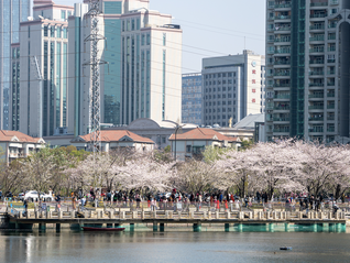 地方两会密集召开，关于深化改革有哪些亮点？