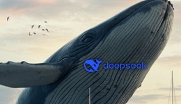 DeepSeek淘金热：日入百万，20天过亿，谁在被割？