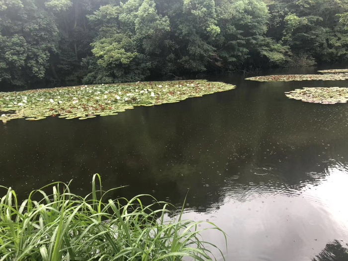 花开之处，便是故地 · 旅行