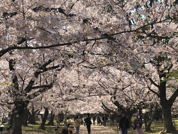 花开之处，便是故地 · 旅行