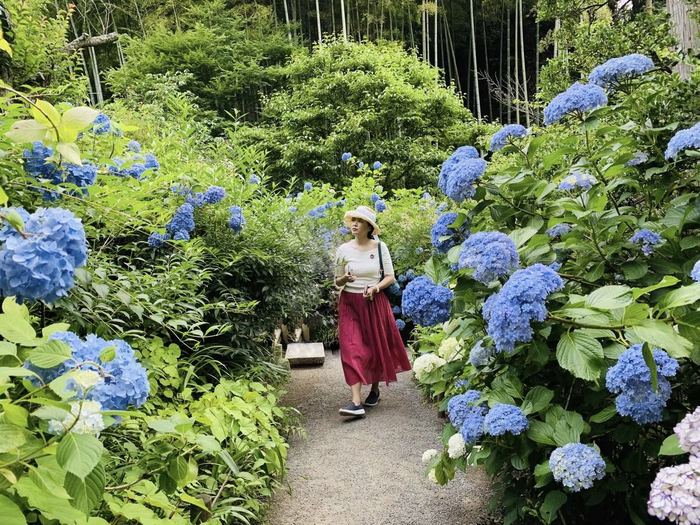 唯客:花开之处，便是故地 · 旅行-唯客交易所下载app