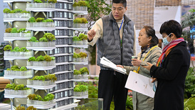 二季度扩内需政策有望加码，涉及消费、楼市和中小企业