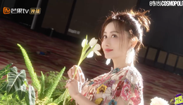 陳德容爭議背后的結(jié)構(gòu)性困境