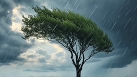 地方新闻精选 | 湖南大风暴雨致6户房屋倒塌100多户受损 海南明确极端天气停课标准