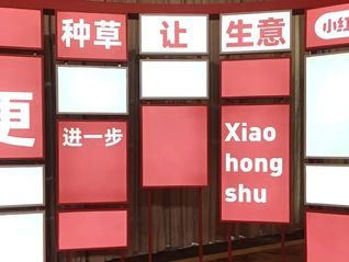 电厂 | 为“淘天”种草，小红书留下了什么？