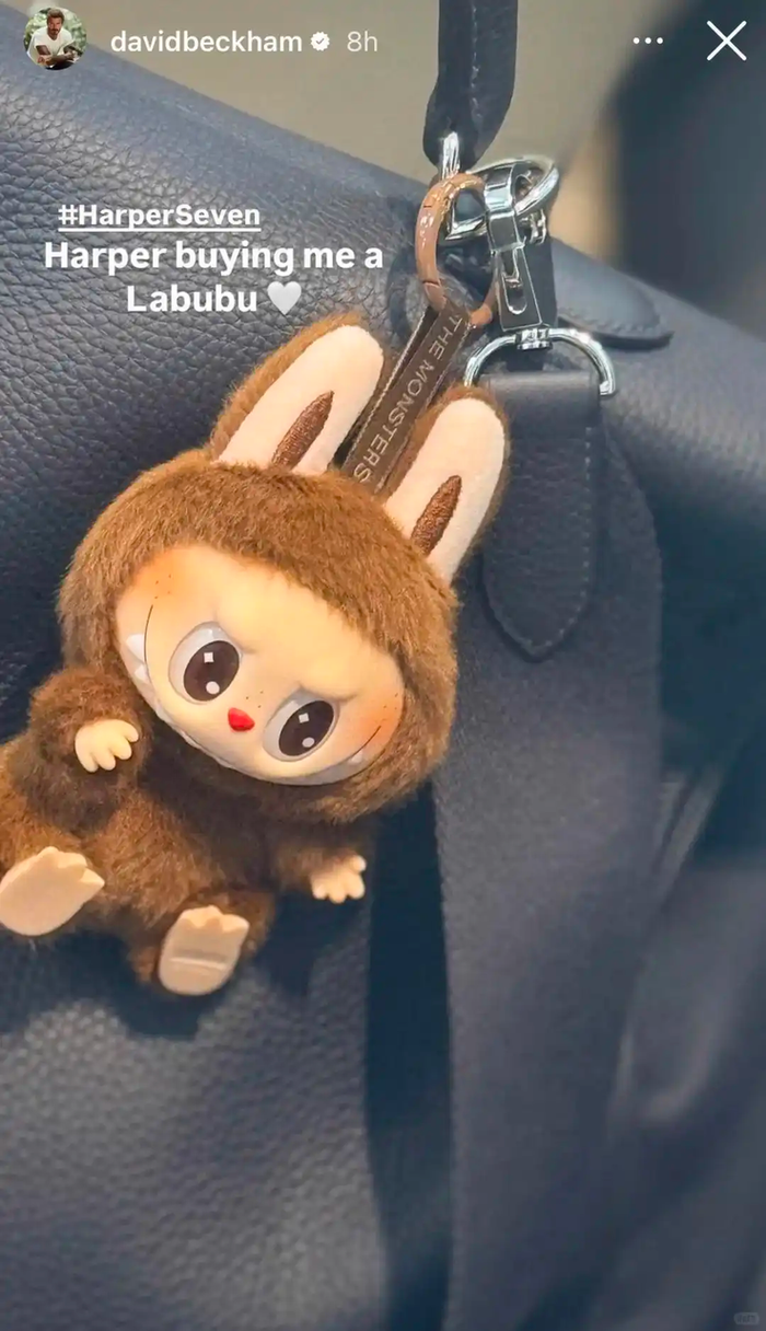 溢价百倍，Labubu，全球年轻人疯抢的“中国奢侈品挂件”