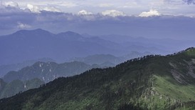 长期组织人员非法穿越秦岭，陕西一旅行社被追究生态环境损害责任