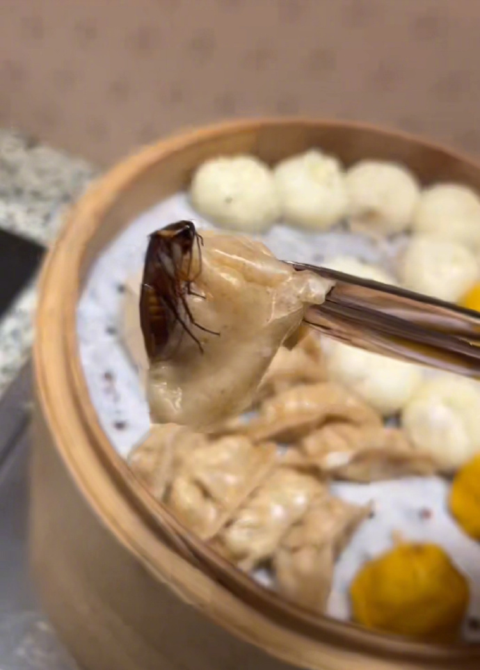 游客在长沙桔子酒店吃出蟑螂，酒店方回应：已在配合调查