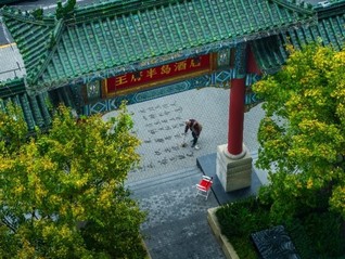 首批“零碳目的地”先锋榜单发布，皇家加勒比携手奈尔宝开启暑期度假新玩法 | 一周旅行指南