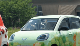縣城青年，買爆“剁椒魚頭車”