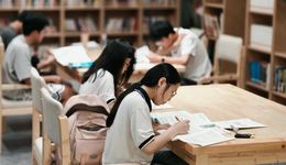 大廠AI，卷起高考志愿大模型