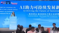 “电子茅台”又出新解，不是潮玩而是脑机接口，配合AI让人喝白水能感受茅台