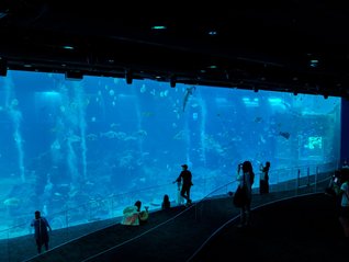 新加坡海洋生态馆开放，带来全新突破体验